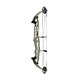 Hoyt Arco Compuesto STRATOS 36 SVX 2023