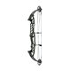 Hoyt Arco Compuesto STRATOS 36 SVX 2023