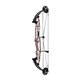 Hoyt Arco Compuesto STRATOS 36 HBT 2023