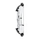 Hoyt Compound Bow STRATOS 36 HBT 2023