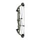 Hoyt Arco Compuesto STRATOS 36 HBT 2023