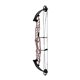 Hoyt Arco Compuesto STRATOS 40 SVX 2023