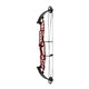 Hoyt Arco Compuesto STRATOS 40 SVX 2023