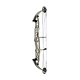 Hoyt Arco Compuesto STRATOS 40 SVX 2023