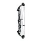 Hoyt Arco Compuesto STRATOS 40 HBT 2023