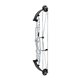 Hoyt Compound Bow STRATOS 40 HBT 2023