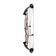 Hoyt Compound Bow STRATOS 40 HBT 2023