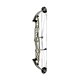 Hoyt Compound Bow STRATOS 40 HBT 2023