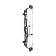 Hoyt Compound Bow Stratos 40 HBT Long Draw 2023