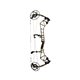 Bear Archery Compound Bow Execute 30 2023