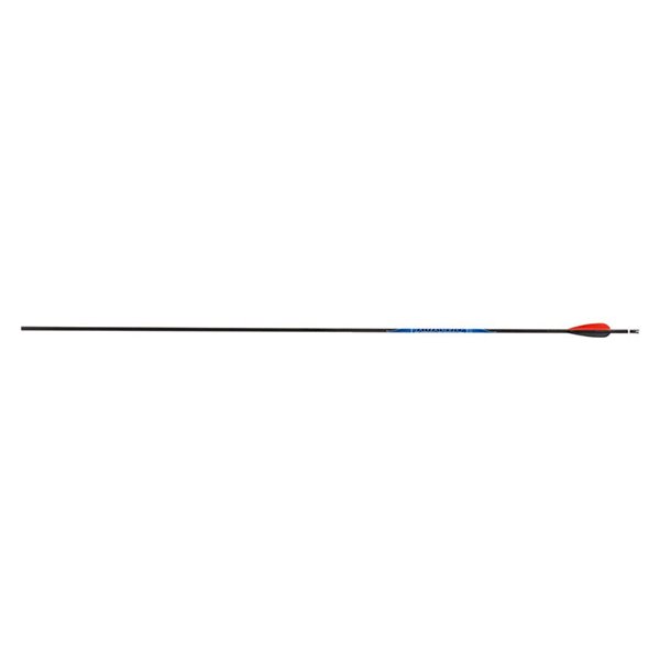 Avalon Arrows Carbon CLASSIC 4.2